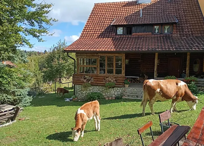 Mountain House