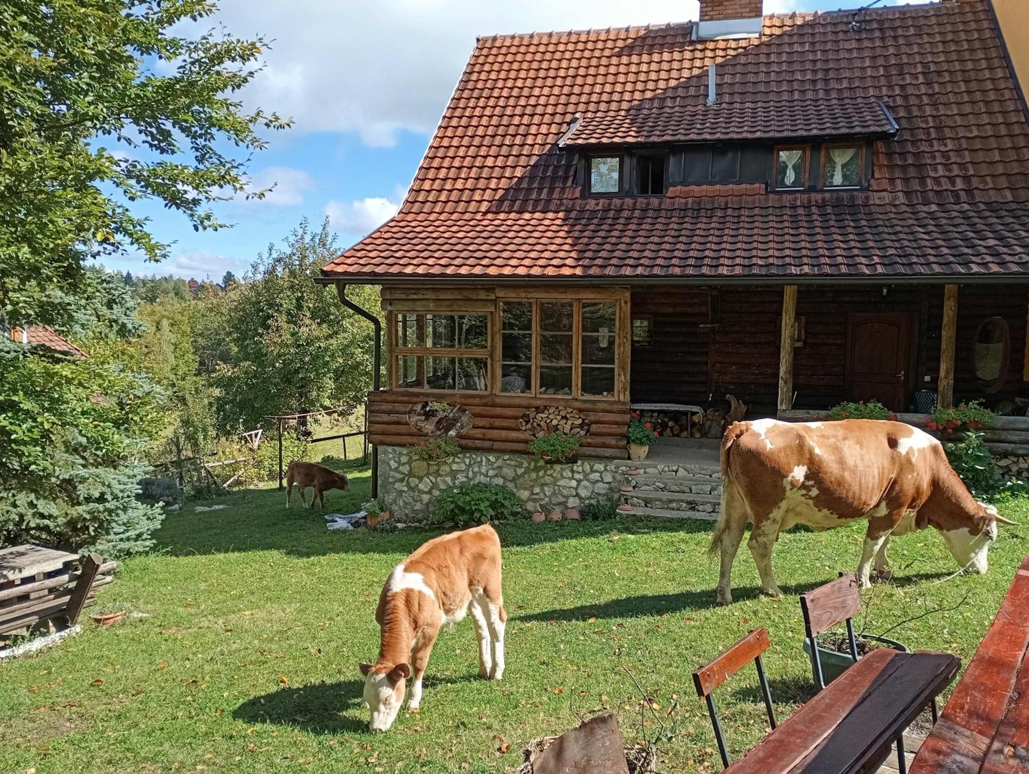 Mountain House *